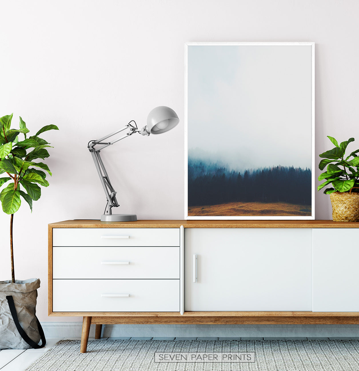 Foggy Pine Forest On Sandy Earth Photo Print