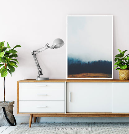 Foggy Pine Forest On Sandy Earth Photo Print