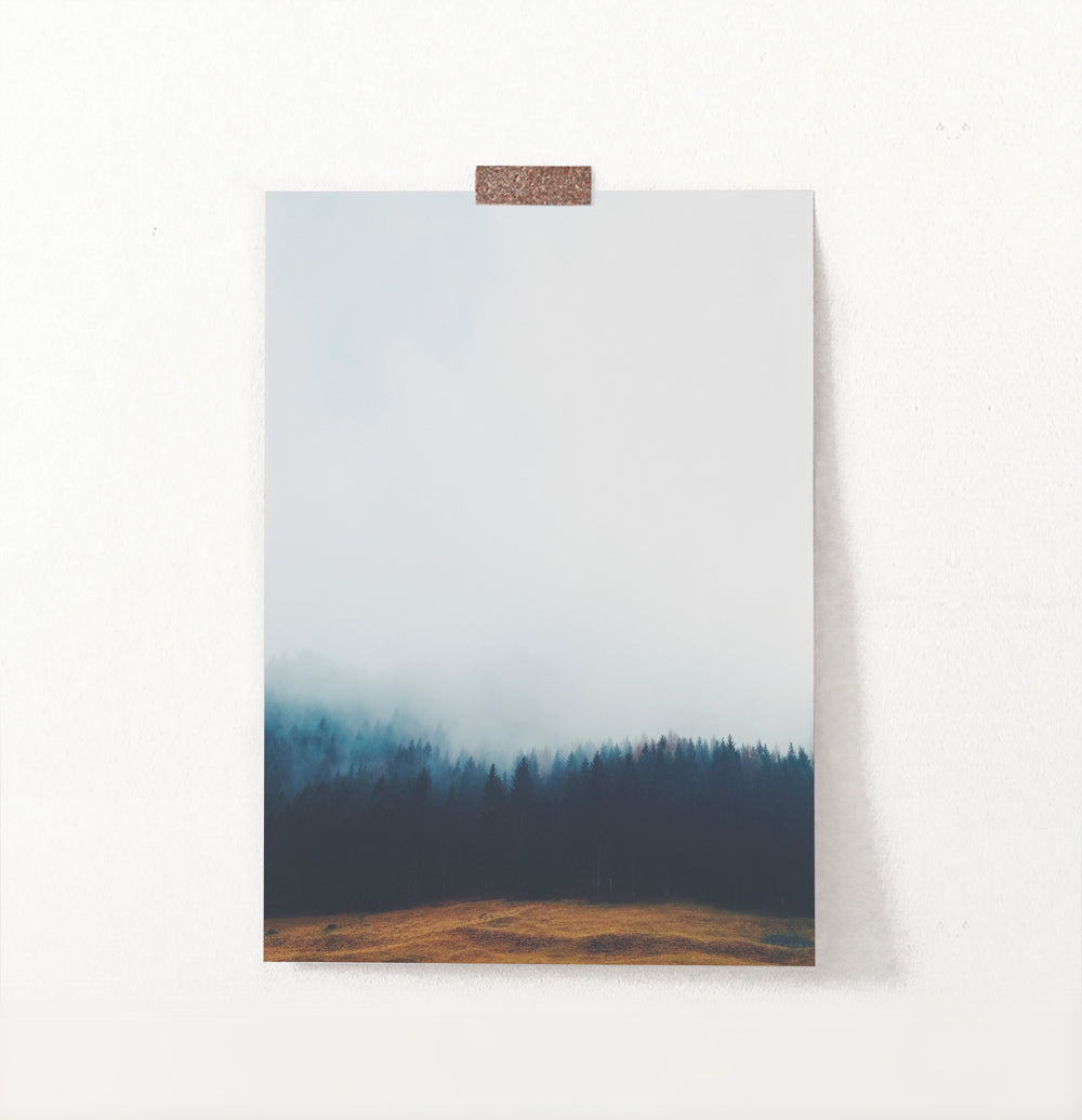 Foggy Pine Forest On Sandy Earth Photo Print