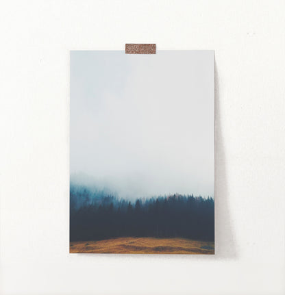 Foggy Pine Forest On Sandy Earth Photo Print