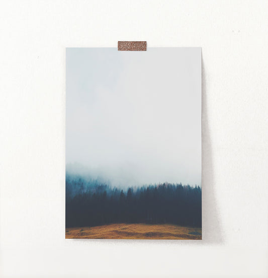 Foggy Pine Forest On Sandy Earth Photo Print