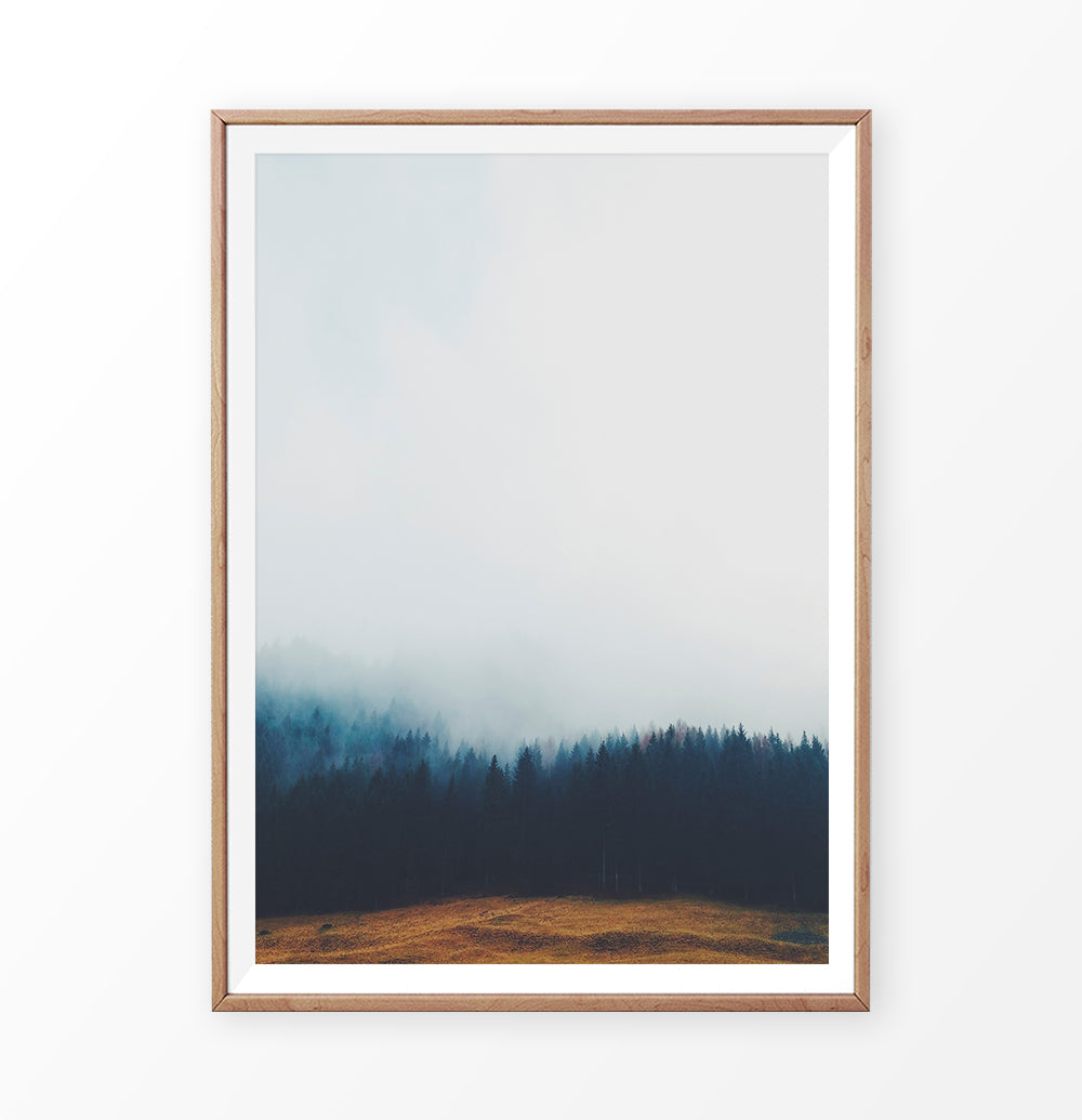 Foggy Pine Forest On Sandy Earth Photo Print