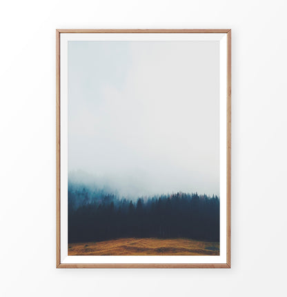 Foggy Pine Forest On Sandy Earth Photo Print