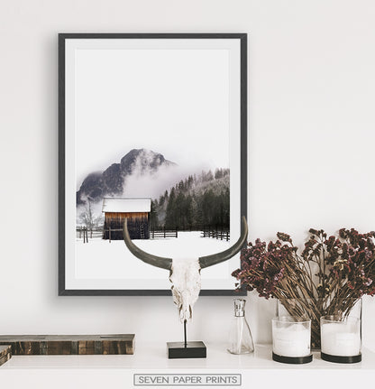 Black-framed With Bull Skull and some dried plants