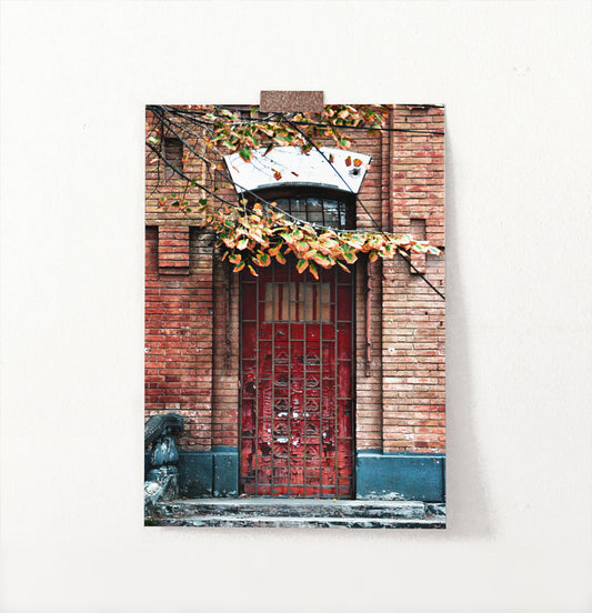Grunge Red Barred Door In Brick Wall Photography Art