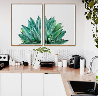 Succulent Print Set of 2 Botanical Cactus Wall Art