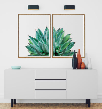 Succulent Print Set of 2 Botanical Cactus Wall Art