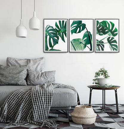 Monstera Green Leaves Set of 3 Deliciosa Prints