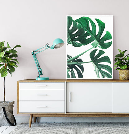 Monstera Green Leaves Set of 3 Deliciosa Prints