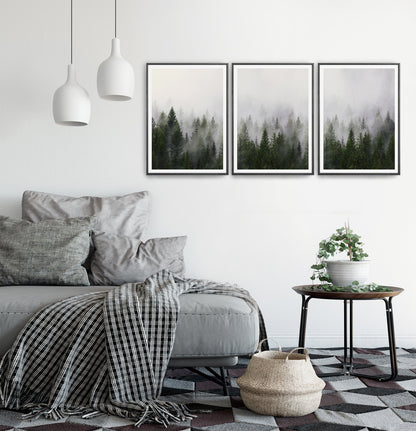 Foggy Trees Nature Landscape Print Art Set of 3