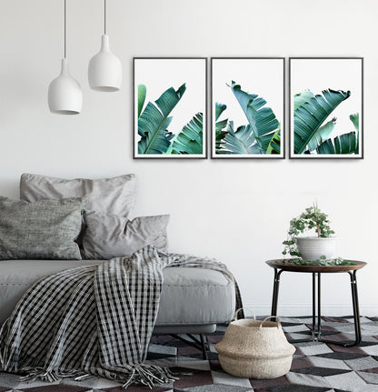 Green Banana Leaf Set of 3 Botanical Prints