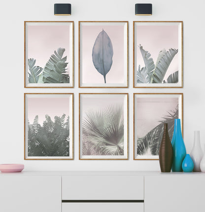 Blush Pink Tropical Leaves Set of 6 Six Digital Prints