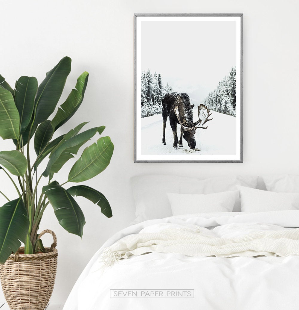 Moose Winter Forest Set of 3 Digital Prints