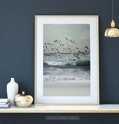 Bird Art Set of 3 Coastal Photography