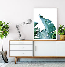 Load image into Gallery viewer, Green Banana Leaf Set of 3 Botanical Prints
