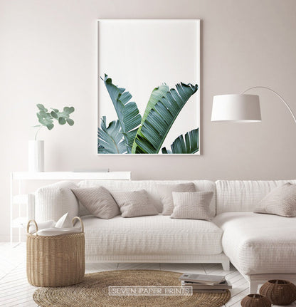 Banana Leaf Botanical Wall Art