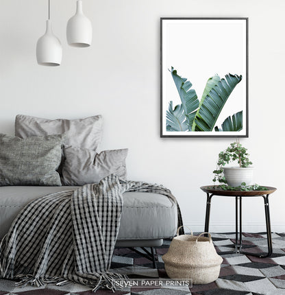 Banana Leaf Botanical Wall Art