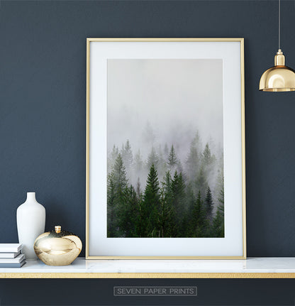 Foggy Trees Nature Landscape Print Art Set of 3