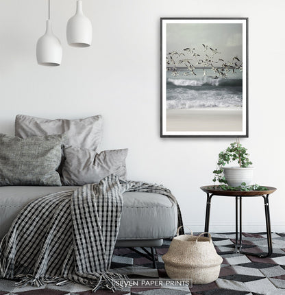 Bird Art Set of 3 Coastal Photography