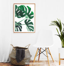 Load image into Gallery viewer, Monstera Green Leaves Set of 3 Deliciosa Prints
