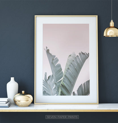 Blush Pink Tropical Leaves Set of 6 Six Digital Prints