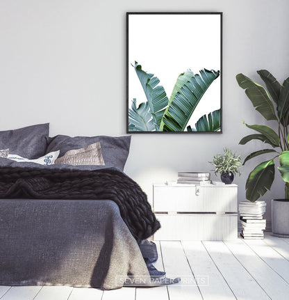Banana Leaf Botanical Wall Art