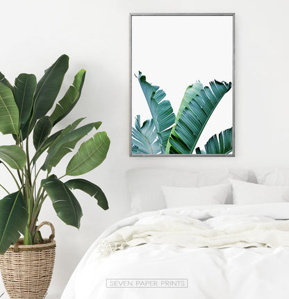 Banana Leaf Botanical Wall Art