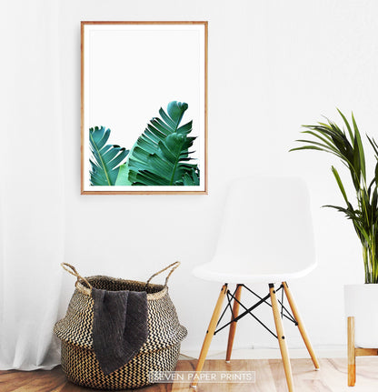 Green Banana Leaf Set of 2 Tropical Decor Prints