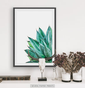 Succulent Print Set of 2 Botanical Cactus Wall Art