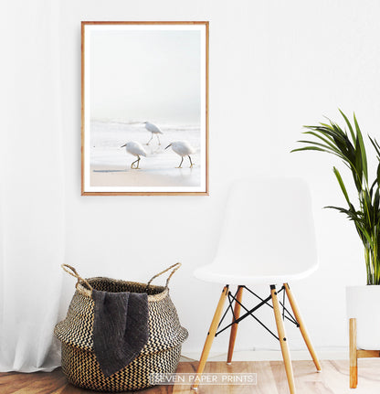 Coastal Seagulls and Ocean Waves Wall Art