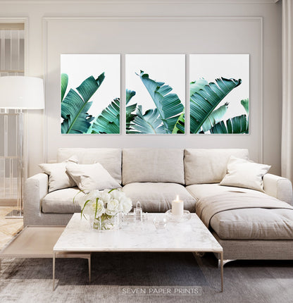 Green Banana Leaf Set of 3 Botanical Prints