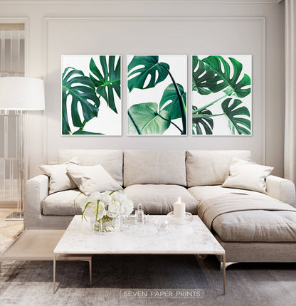 Monstera Green Leaves Set of 3 Deliciosa Prints