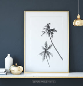 Black and White Palm Trees Wall Art Print
