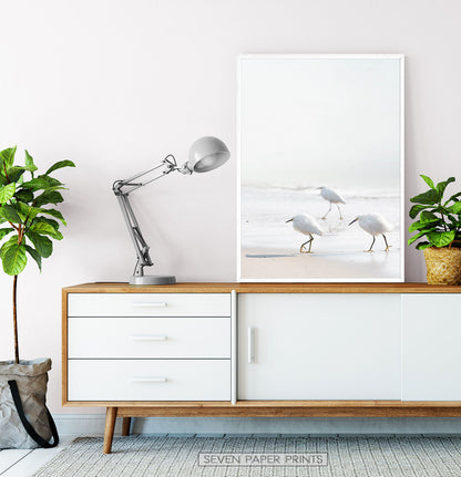 Coastal Seagulls and Ocean Waves Wall Art