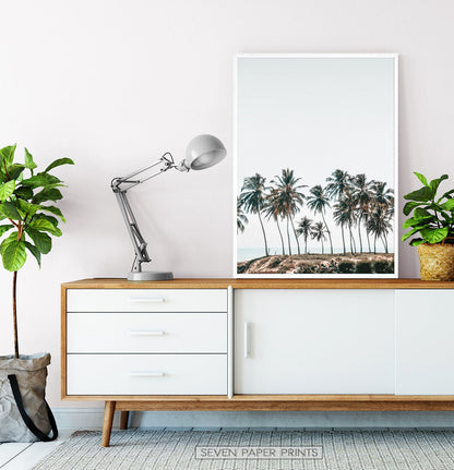 Palm Trees Tropical Photo Wall Art