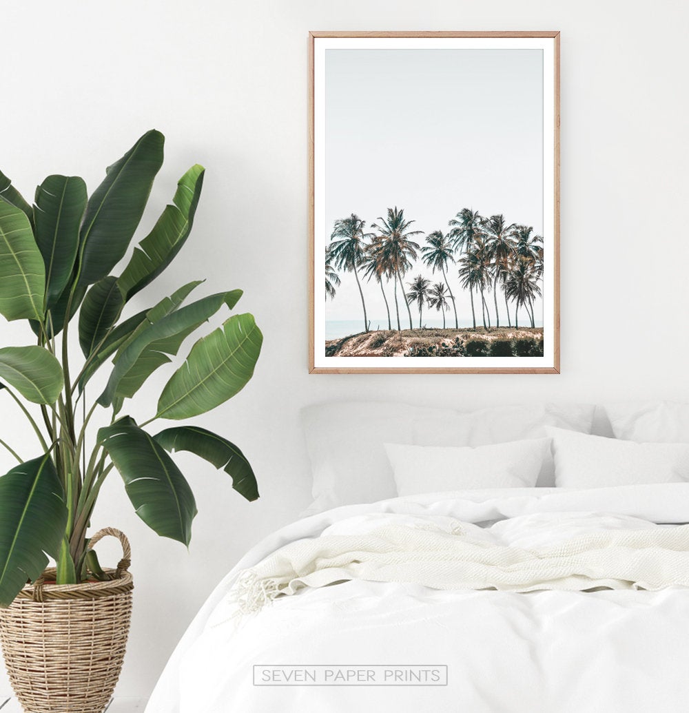 Palm Trees Tropical Photo Wall Art