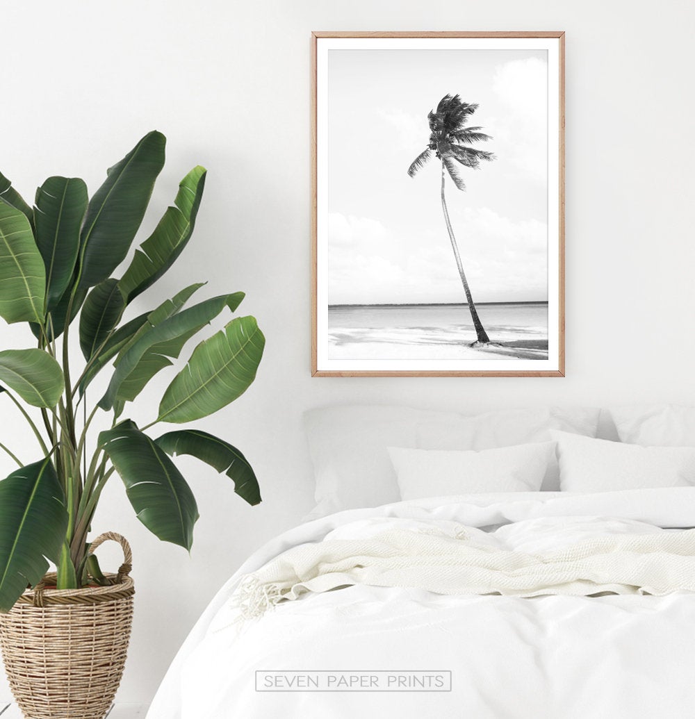 Black And White Palm Wall Art