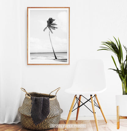 Black And White Palm Wall Art