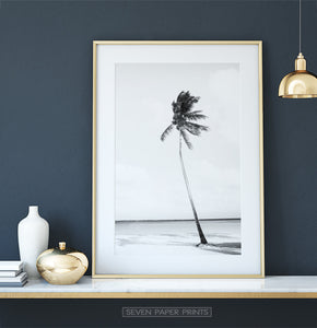Black And White Palm Wall Art