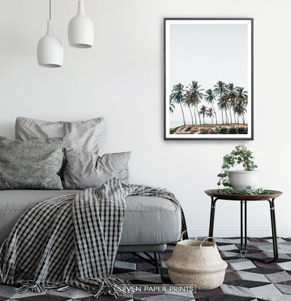 Palm Trees Tropical Photo Wall Art