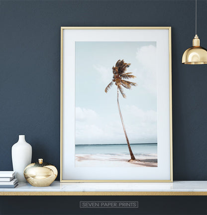 Hawaii Beach Coastal Palm Tree Wall Art
