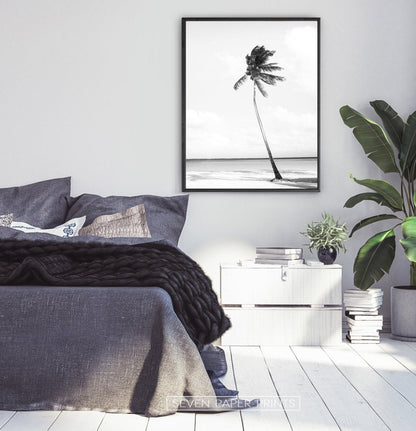 Black And White Palm Wall Art