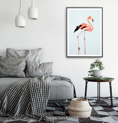 Pink Flamingo Modern Wall Art