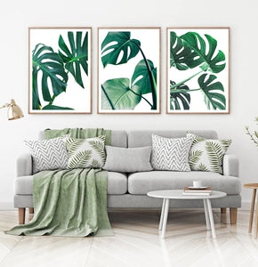 Monstera Green Leaves Set of 3 Deliciosa Prints