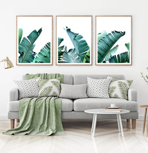 Green Banana Leaf Set of 3 Botanical Prints