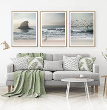 Load image into Gallery viewer, Bird Art Set of 3 Coastal Photography
