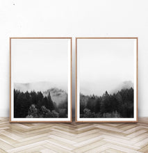 Load image into Gallery viewer, Black and White Foggy Nature Print Set of 2
