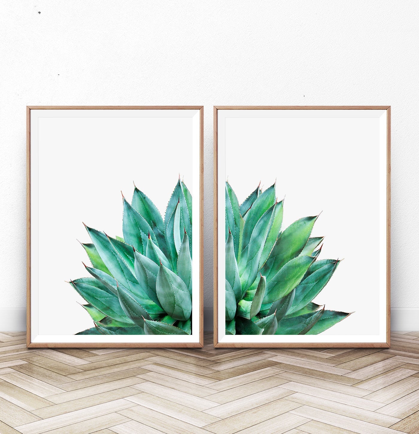Succulent Print Set of 2 Botanical Cactus Wall Art