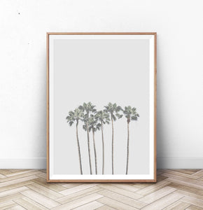 Gray Palm Trees Minimalist Wall Art