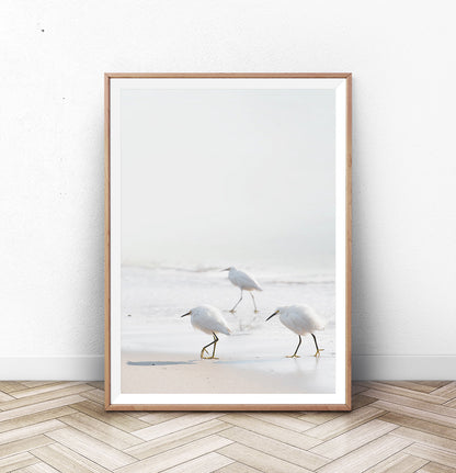 Coastal Seagulls and Ocean Waves Wall Art